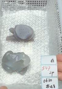 KIKICRYSTAL Shop Claim Sale For 0630