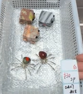 KIKICRYSTAL Shop Claim Sale For 0407
