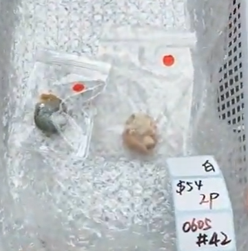 KIKICRYSTAL Shop Claim Sale For 0605