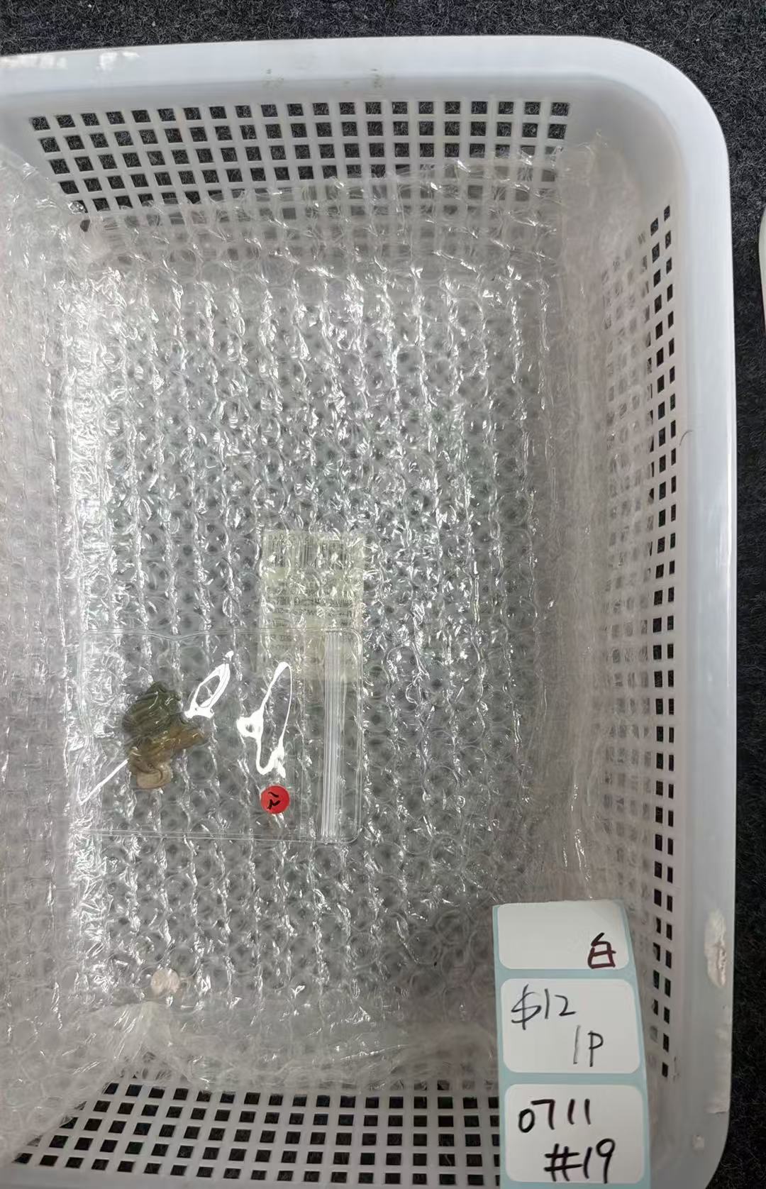KIKICRYSTAL Shop Claim Sale For 0711