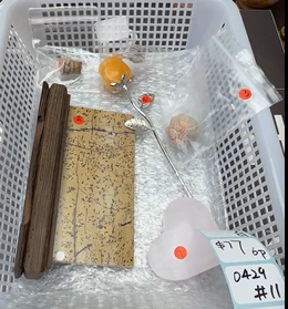 KIKICRYSTAL Shop Claim Sale For 0429