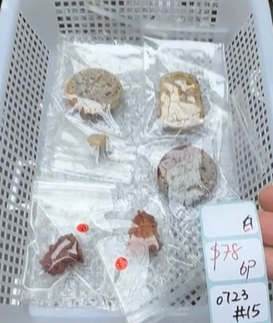 KIKICRYSTAL Shop Claim Sale For 0723