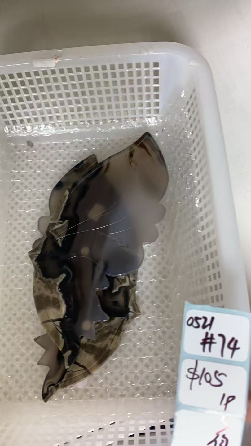 KIKICRYSTAL Shop Claim Sale For 0521