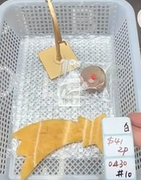 KIKICRYSTAL Shop Claim Sale For 0430