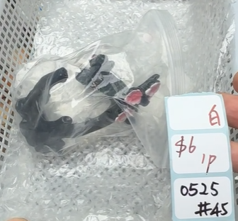 KIKICRYSTAL Shop Claim Sale For 0525