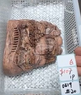 KIKICRYSTAL Shop Claim Sale For 0519