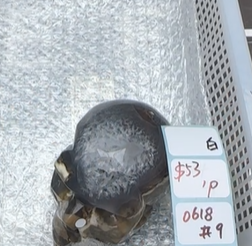 KIKICRYSTAL Shop Claim Sale For 0618