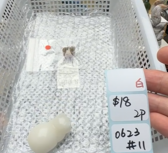 KIKICRYSTAL Shop Claim Sale For 0623