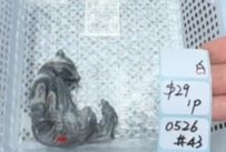 KIKICRYSTAL Shop Claim Sale For 0526