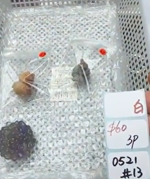 KIKICRYSTAL Shop Claim Sale For 0521
