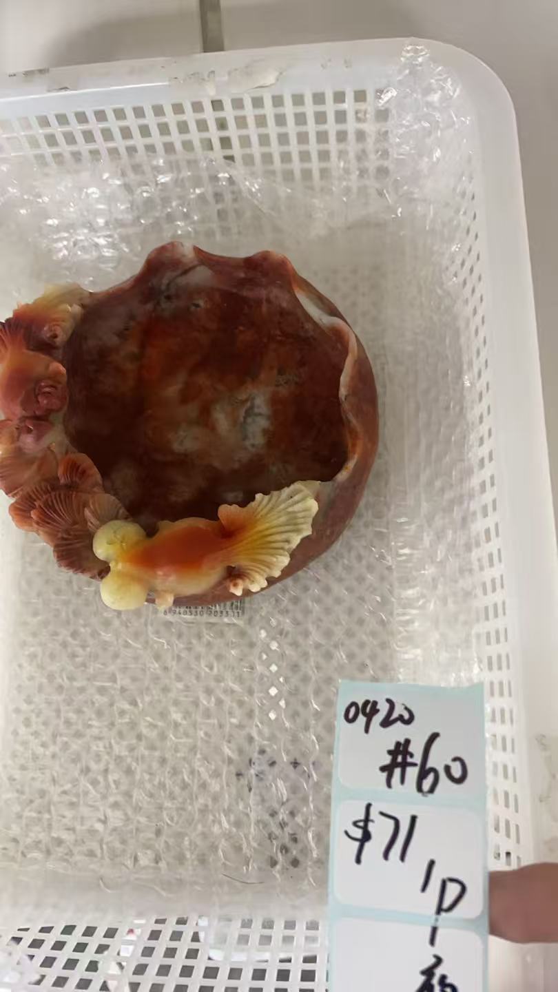 KIKICRYSTAL Shop Claim Sale For 0420