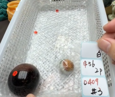 KIKICRYSTAL Shop Claim Sale For 0409