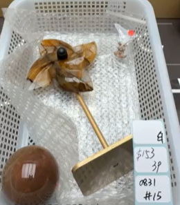 KIKICRYSTAL Shop Claim Sale For 0831
