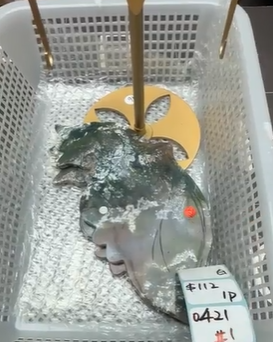 KIKICRYSTAL Shop Claim Sale For 0421