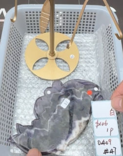 KIKICRYSTAL Shop Claim Sale For 0409