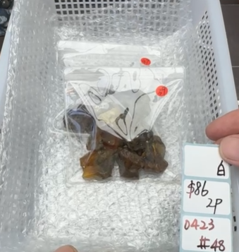 KIKICRYSTAL Shop Claim Sale For 0423