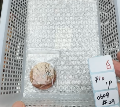 KIKICRYSTAL Shop Claim Sale For 0609