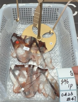 KIKICRYSTAL Shop Claim Sale For 0423