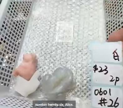 KIKICRYSTAL Shop Claim Sale For 0601