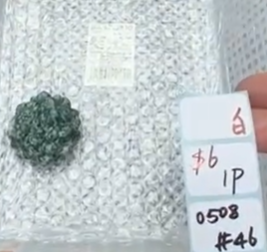 KIKICRYSTAL Shop Claim Sale For 0508