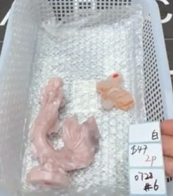 KIKICRYSTAL Shop Claim Sale For 0728