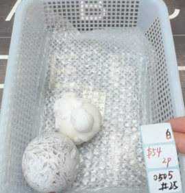KIKICRYSTAL Shop Claim Sale For 0505