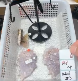 KIKICRYSTAL Shop Claim Sale For 0416