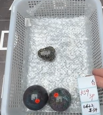 KIKICRYSTAL Shop Claim Sale For 0422