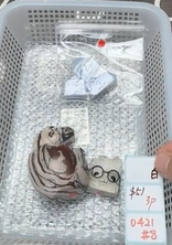 KIKICRYSTAL Shop Claim Sale For 0421