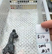 KIKICRYSTAL Shop Claim Sale For 0506