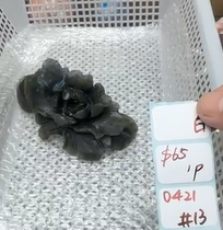KIKICRYSTAL Shop Claim Sale For 0421