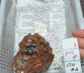 KIKICRYSTAL Shop Claim Sale For 0720