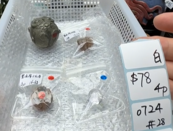 KIKICRYSTAL Shop Claim Sale For 0724
