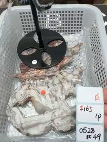 KIKICRYSTAL Shop Claim Sale For 0528