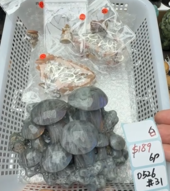KIKICRYSTAL Shop Claim Sale For 0526