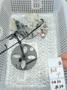 KIKICRYSTAL Shop Claim Sale For 0430
