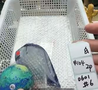 KIKICRYSTAL Shop Claim Sale For 0601