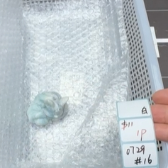 KIKICRYSTAL Shop Claim Sale For 0729