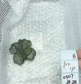 KIKICRYSTAL Shop Claim Sale For 0507