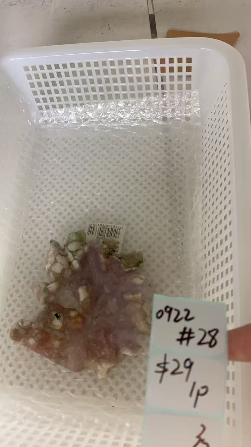 KIKICRYSTAL Shop Claim Sale For 0922