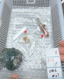 KIKICRYSTAL Shop Claim Sale For 0806