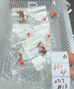 KIKICRYSTAL Shop Claim Sale For 0717
