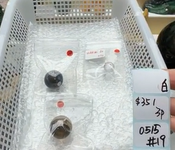 KIKICRYSTAL Shop Claim Sale For 0515