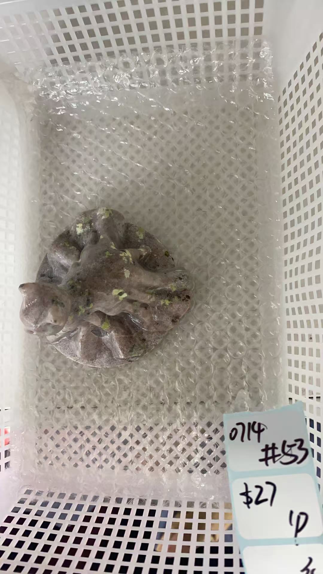 KIKICRYSTAL Shop Claim Sale For 0714