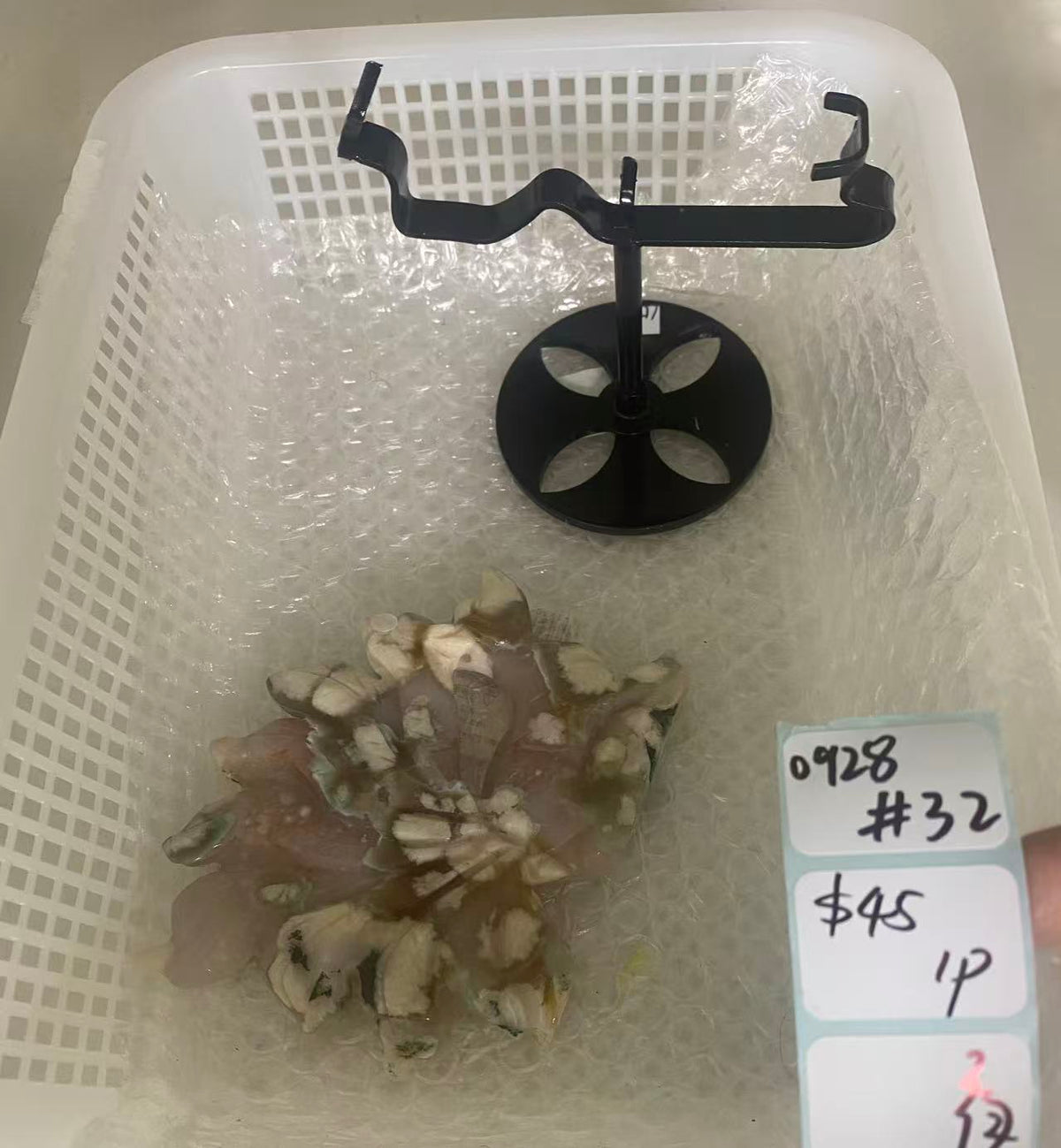 KIKICRYSTAL Shop Claim Sale For 0928