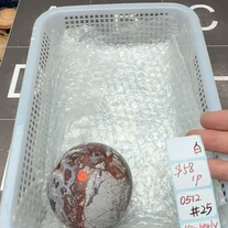 KIKICRYSTAL Shop Claim Sale For 0512