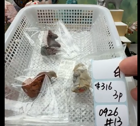 KIKICRYSTAL Shop Claim Sale For 0926