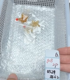 KIKICRYSTAL Shop Claim Sale For 0529