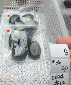 KIKICRYSTAL Shop Claim Sale For 0604
