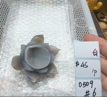 KIKICRYSTAL Shop Claim Sale For 0509